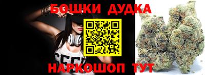 дмт Новодвинск