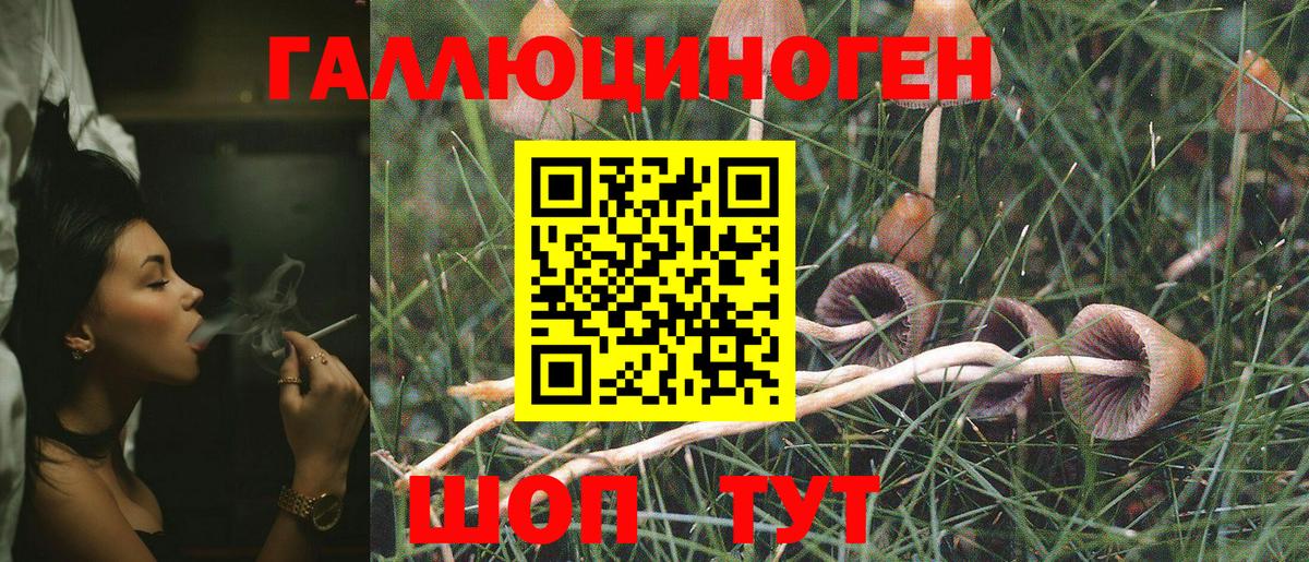 Псилоцибиновые грибы GOLDEN TEACHER  Вход с VPN  Псилоцибиновые грибы Psilocybine cubensis  Сызрань 