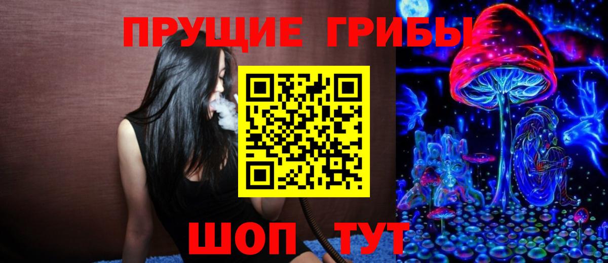 Псилоцибиновые грибы Cubensis Сызрань